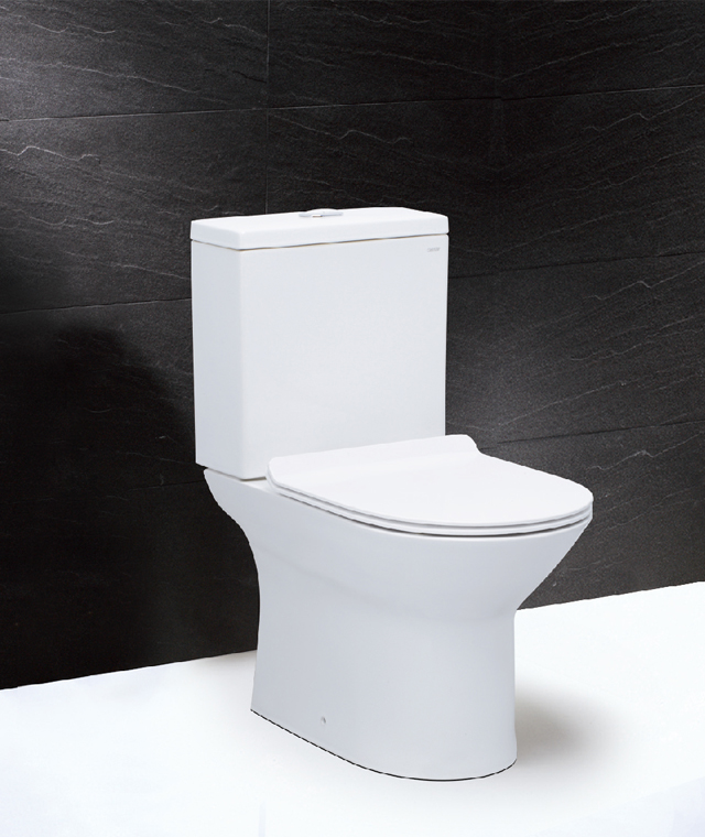 CF1551P.jpg