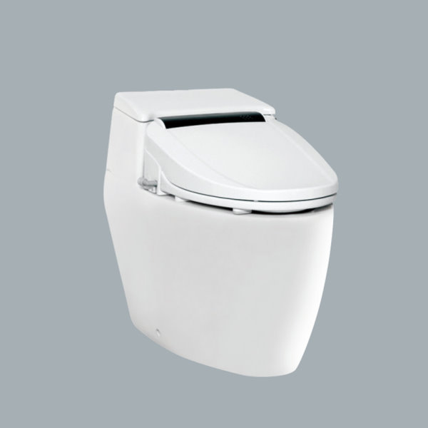 C4603AdbST-AF889S-p600.jpg