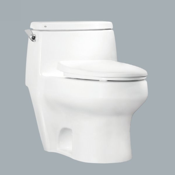 C660AdbT-p600.jpg